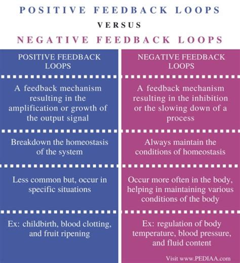 Difference Between Positive and Negative Feedback Loops in Biology - Pediaa.Com