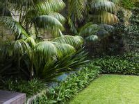 650 Tropical gardens ideas | vertical garden plants, tillandsia wall ...
