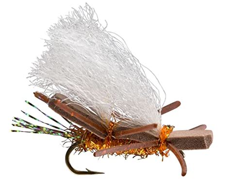 The TOP 15 Best Dry Flies for Catching More Trout