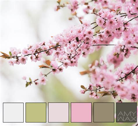 Nature's Color Palettes: Looking to our Planet for Color-Inspiration ...