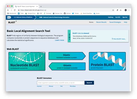 Blast Online - Bioinformatics course