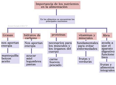 la importancia de los nutrientes esenciales en la alimentación. - Brainly.lat