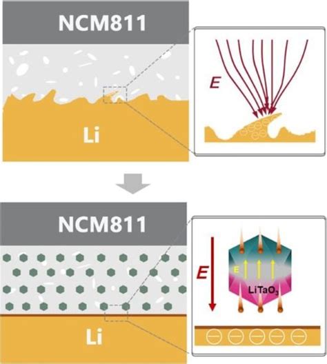 Pioneering Advances in Solid-State Electrolytes - Market Insights