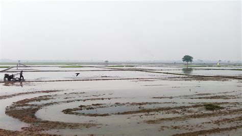 plow rice fields wstjava | Pendi Wfa | Flickr