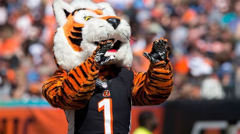 ESPN's Uni Watch ranks Bengals uniforms among worst in NFL - Cincy Jungle