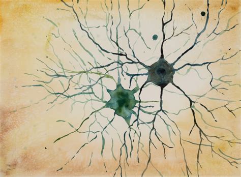 Dopaminergic neurons - BioLamina