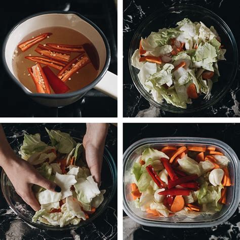 Chinese Pickled Cabbage (A Quick Pickle Recipe) - Omnivore's Cookbook