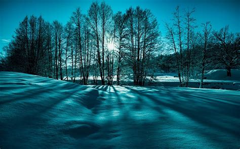 Landscape Snow Trees Winter Nature - [1920 x 1200]