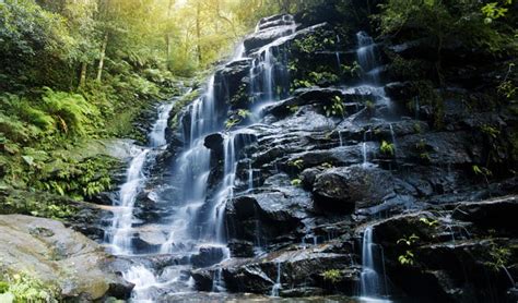 Blue Mountains National Park | NSW National Parks