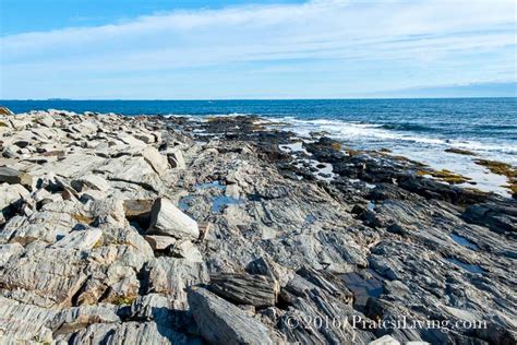 Things To Do in Coastal Maine and Inn By The Sea - Pratesi Living