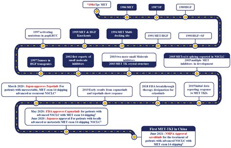 Cancers | Free Full-Text | Landscape of Savolitinib Development for the Treatment of Non-Small ...