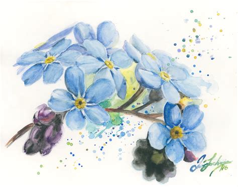 Forget-me-nots Watercolor Print Blue Flowers Painting Flowers - Etsy