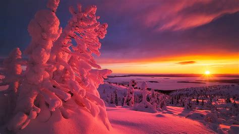 Winter Snow Sunset Wallpaper