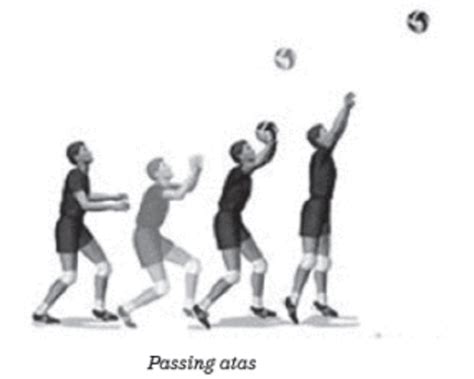 Teknik Dasar dalam Permainan Bola Voli, Basic Techniques in Volley Ball Games. | berbagaireviews.com