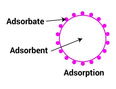 8 Examples of Adsorption in Daily Life – StudiousGuy