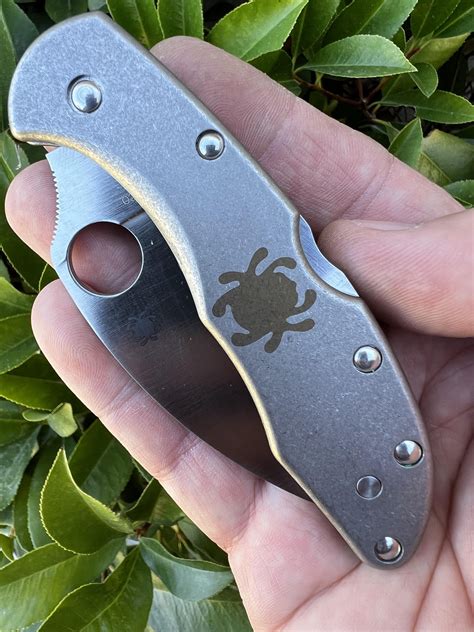 Spyderco Delica Mods : r/knifemods