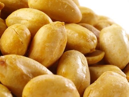 Unsalted, No Shell Roasted Virginia Peanuts - Nuts.com