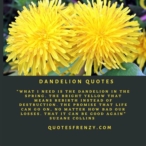 Dandelion Quotes And Sayings – Quotes Sayings | Thousands Of Quotes Sayings