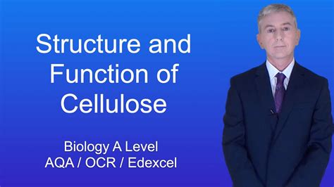 Cellulose Structure