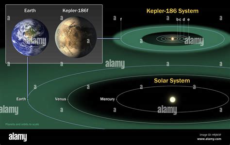 Exoplanet Kepler-186 and the Solar System Stock Photo - Alamy