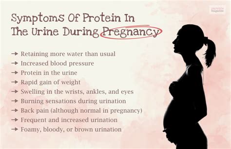 Protein In Urine During Pregnancy? All Questions Answered