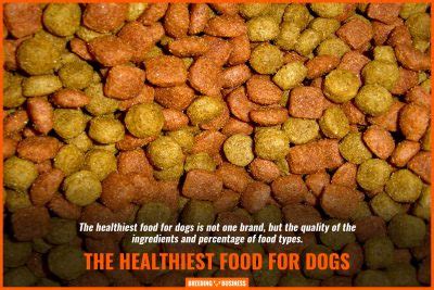 10 Best Vet-Approved Dog Foods – Ingredients, Price & Benefits