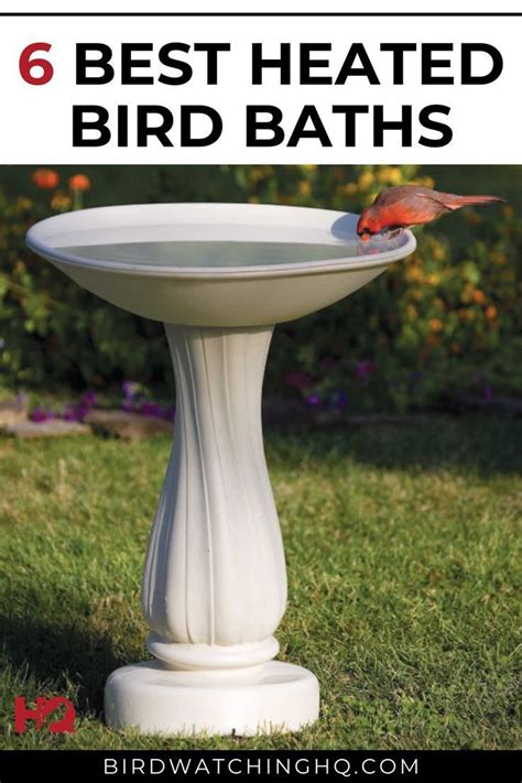 Diy Heated Bird Bath : Homemade Heated Bird Bath | Heated bird bath ...