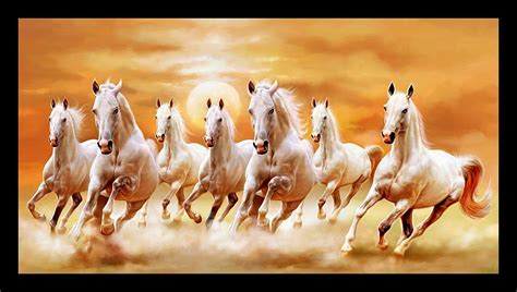 7 Horses Wallpapers - 4k, HD 7 Horses Backgrounds on WallpaperBat