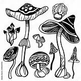 Psychedelic Mushroom Coloring Pages sketch template