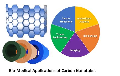 C | Free Full-Text | The Advances in Biomedical Applications of Carbon Nanotubes