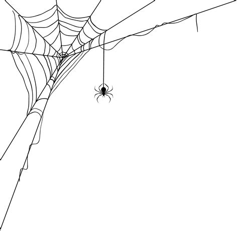 Download Web World Wide Silk - Transparent Spider Webs | Transparent ...