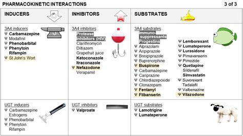 Interaction table | CaferMed