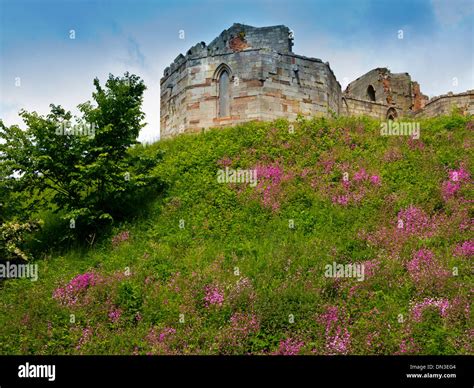 The ruins of Stafford Castle Staffordshire England UK a gothic revival stone keep built on the ...