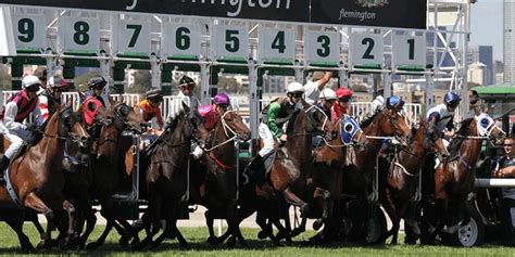 Australian slaughterhouse kills 300 retired racehorses for meat in 3 weeks | Totally Vegan Buzz