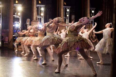 Birmingham Royal Ballet's 'The Sleeping Beauty' - Photo by Ty Singleton. | Royal ballet, Ballet ...