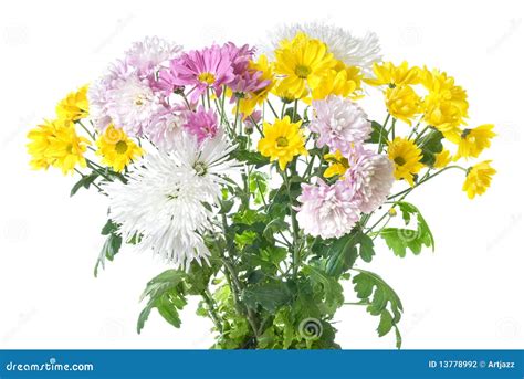 Chrysanthemum Bouquet Stock Photography - Image: 13778992