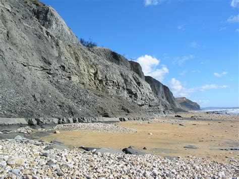 Charmouth (Dorset) | Discovering Fossils