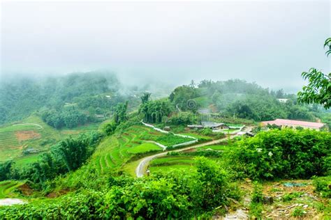 Sa Pa Terraces, Vietnam stock image. Image of plant, field - 67298003