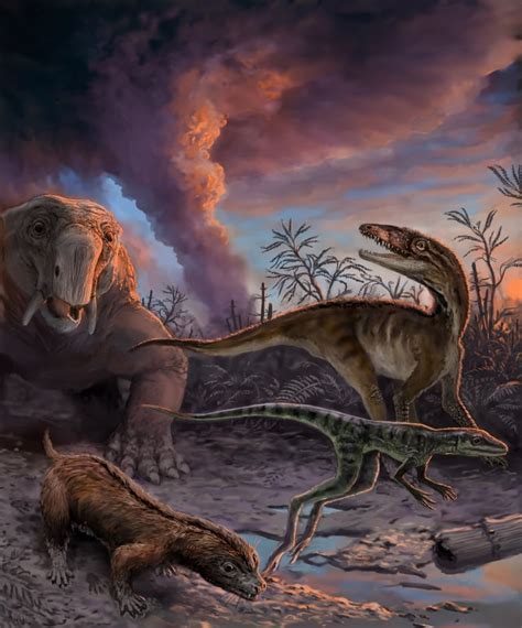 Dinosauromorph research sheds light on dinosaur evolution | CBC News