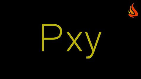 Making sense of Pxy diagrams - YouTube