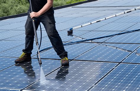 solar panel cleaning service