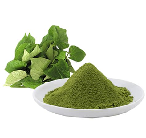 Centella Asiatica Extract Powder at Rs 650/kg | Centella Asiatica Extract in Indore | ID ...