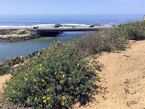 Hubbs Trail Tour at Agua Hedionda Lagoon – San Diego Beach Secrets