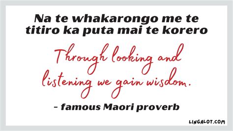 65+ Maori Proverbs, Sayings & Quotes + Their Meanings - Lingalot (2022)