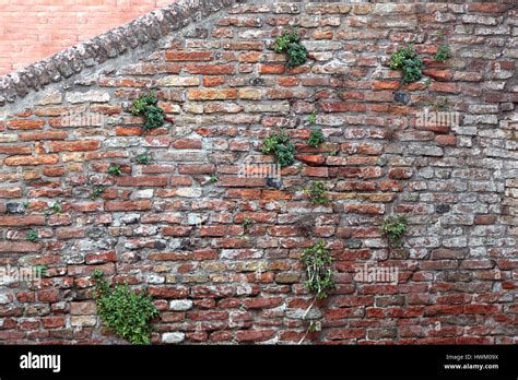 Brick wall face view Stock Photo - Alamy