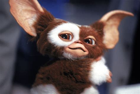 Gizmo Gremlins Wallpaper (62+ pictures) - WallpaperSet