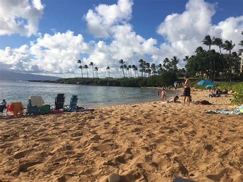 Kapalua Beach - All You Need to Know Before You Go - TripAdvisor