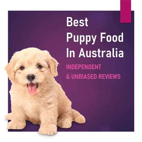 Dry Dog Food Reviews | Pet Food Reviews (Australia)