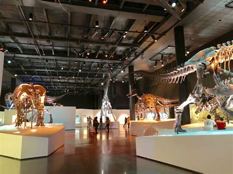 Houston Museum of Natural Science – Best Rated Reviews