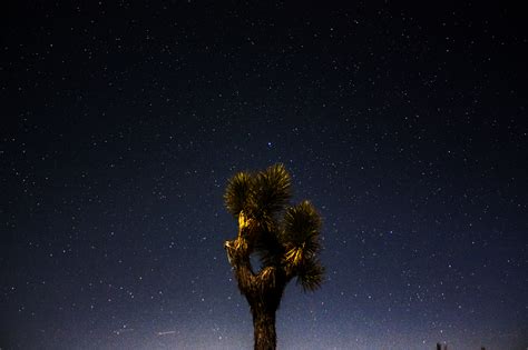 Coachella Valley Astronomy and Astrophotography: Astrophotography at The Joshua Tree National ...